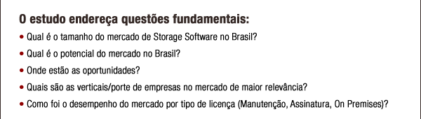 Mercado de Storage Software no Brasil em 2010