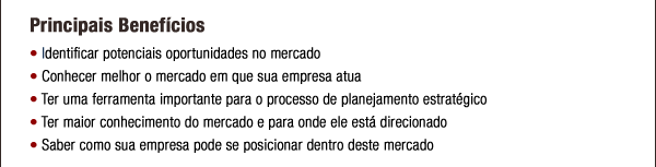 Mercado de Storage Software no Brasil em 2010