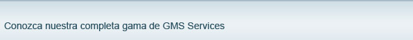 Conozca nuestra completa gama de GMS Services