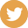 icon-twitter